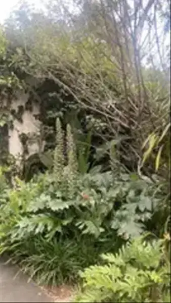 Foto 10