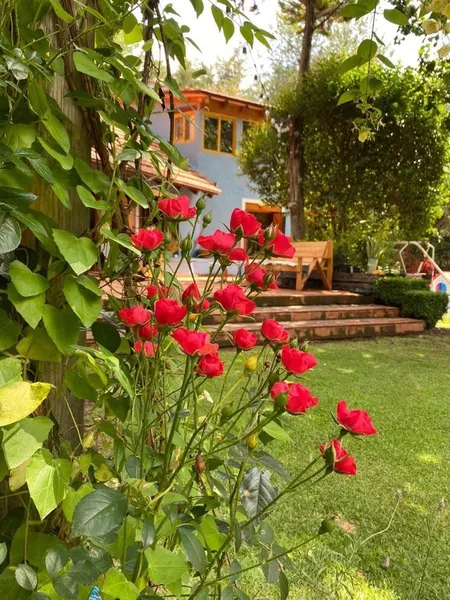 Foto 3