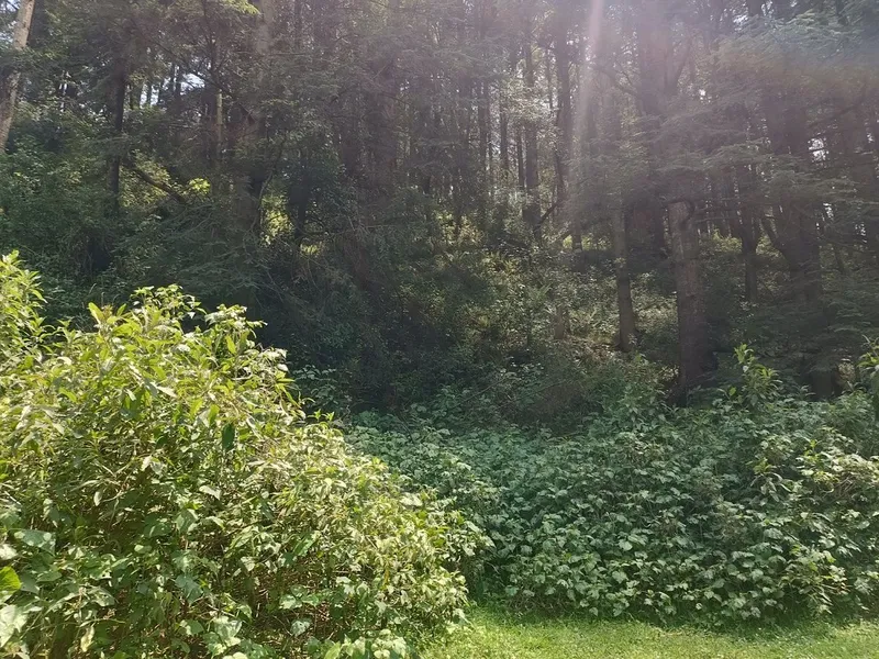 Foto 13