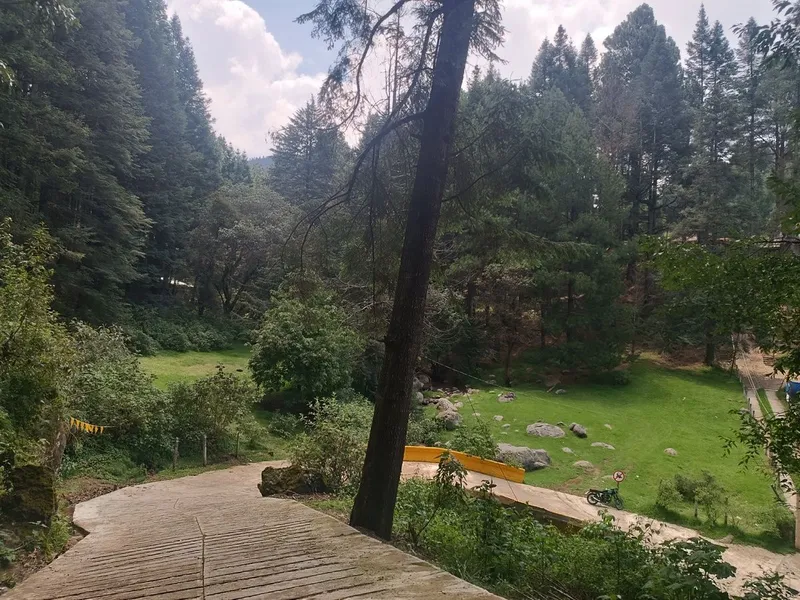Foto 10