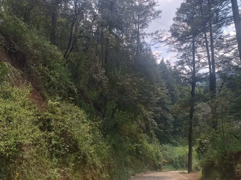 Foto 8