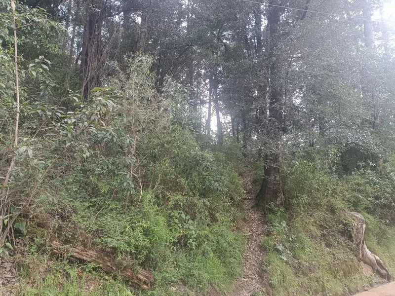 Foto 6