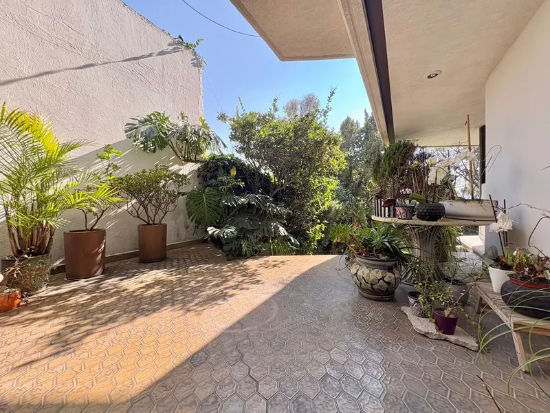 Foto 41