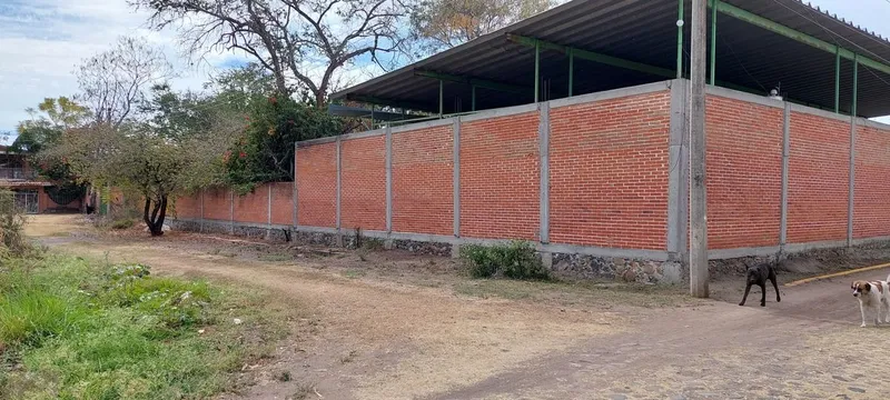 Foto 12