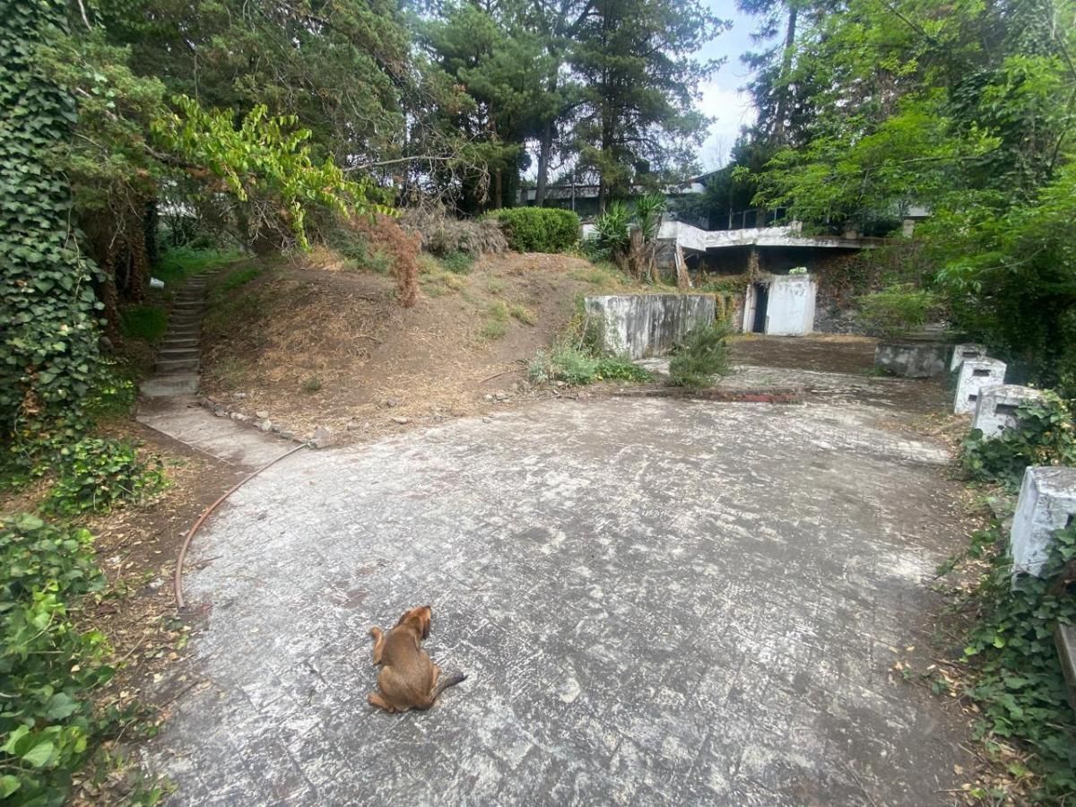 Lote en venta · Lomas de Chapultepec I Sección, Lomas de Chapultepec, Chapultepec, Miguel Hidalgo, Ciudad de México Lote en venta · Lomas de Chapultepec I Sección, Lomas de Chapultepec, Chapultepec, Miguel Hidalgo, Ciudad de México