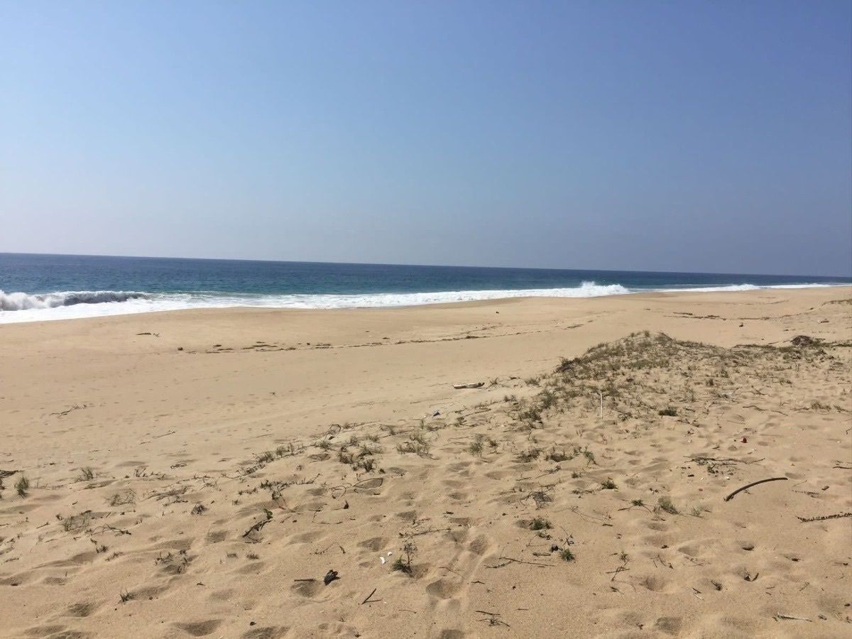 Lote en venta · Santa Cruz, Acapulco de Juárez, Guerrero