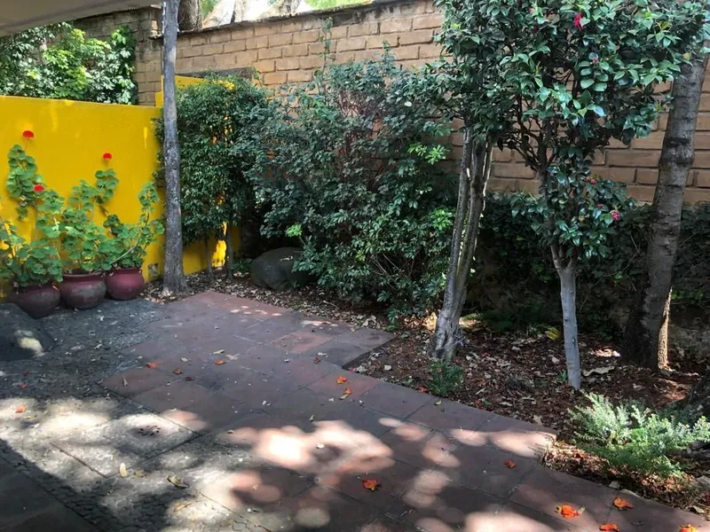 Foto 11