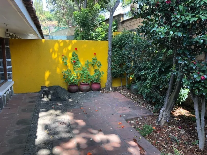 Foto 10