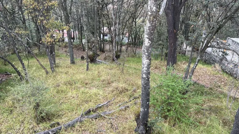 Foto 11
