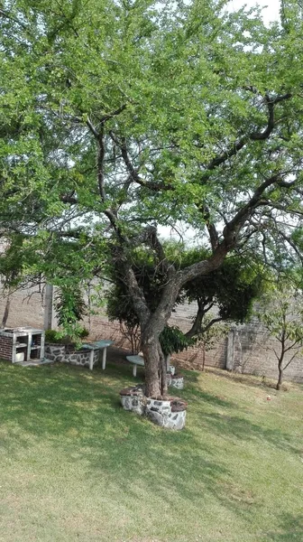 Casa en venta · Lomas de Guadalupe, Temixco, Morelos