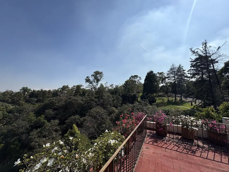 Foto 48