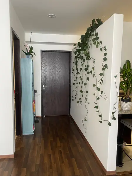 Foto 20