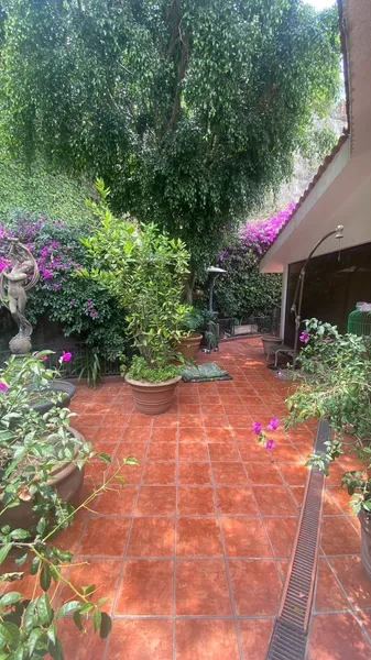 Foto 31