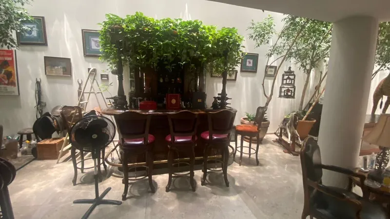 Foto 7