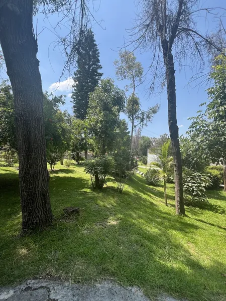 Foto 24