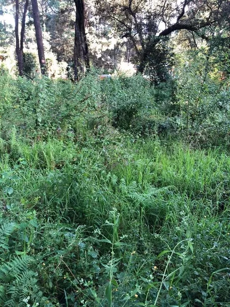 Lote en venta · Cerro Gordo, Valle de Bravo, Estado de México