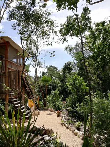 Lote en venta · Tulum, Quintana Roo Lote en venta · Tulum, Quintana Roo