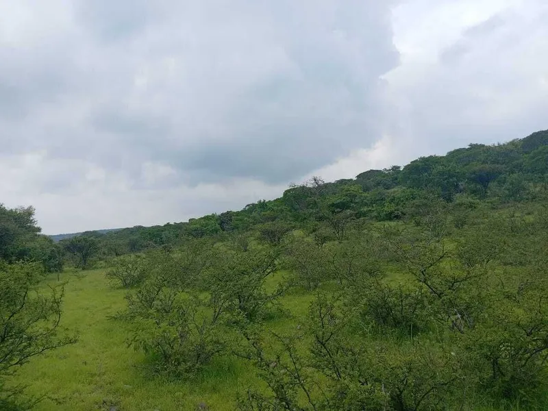 Foto 6
