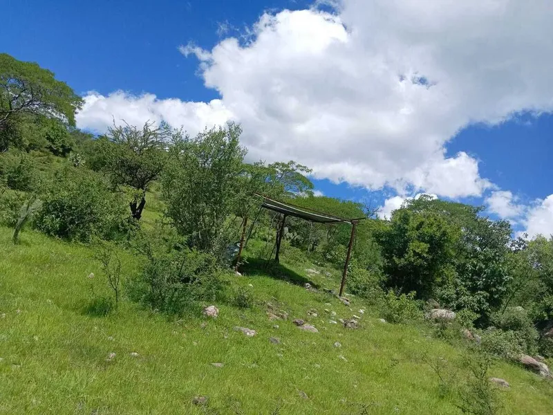 Foto 12