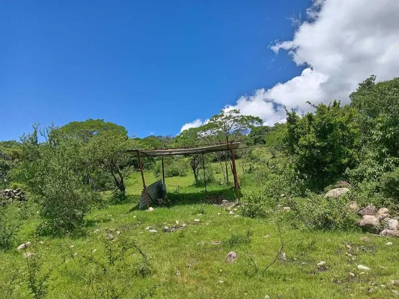 Foto 11