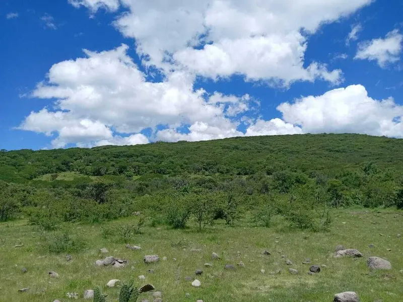 Foto 13