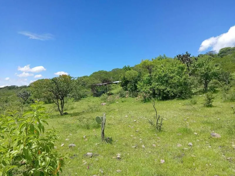 Foto 4