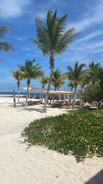 Casa en alquiler · Puerto Cancún, Cancún, Benito Juárez, Quintana Roo