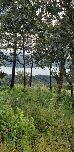 Lote en venta · Valle de Bravo, Valle de Bravo, Estado de México
