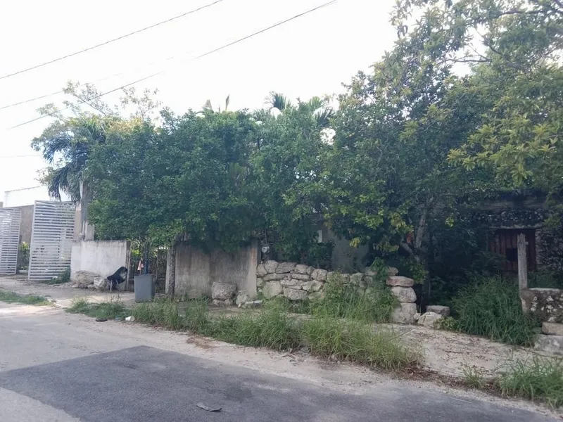 Foto 10