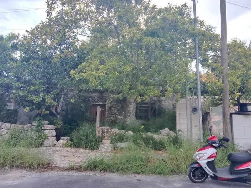 Foto 7