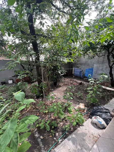Foto 15