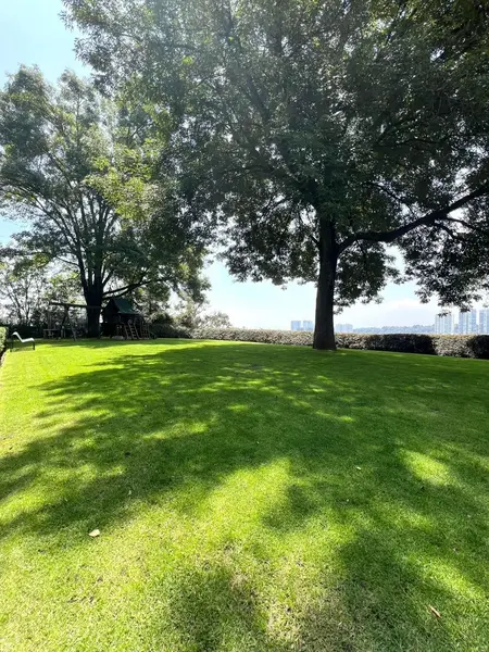 Foto 23