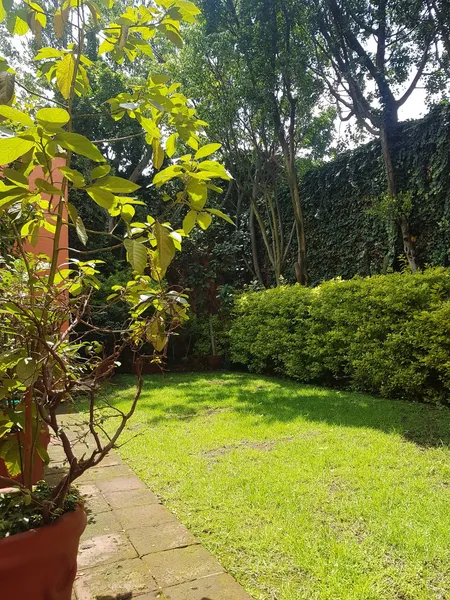 Foto 6