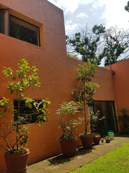 Foto 8