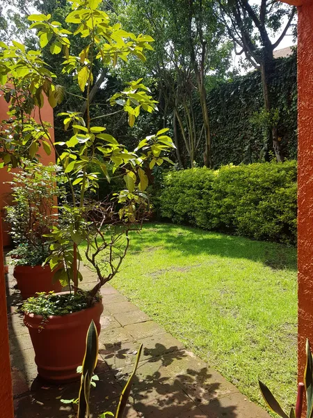 Foto 5