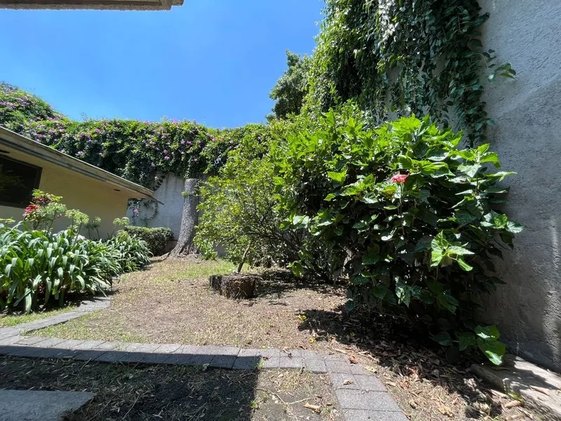 Foto 10