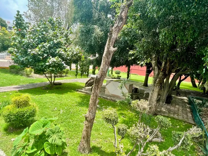 Foto 24