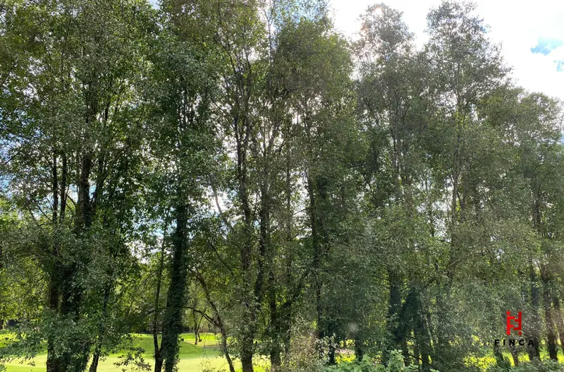 Foto 25