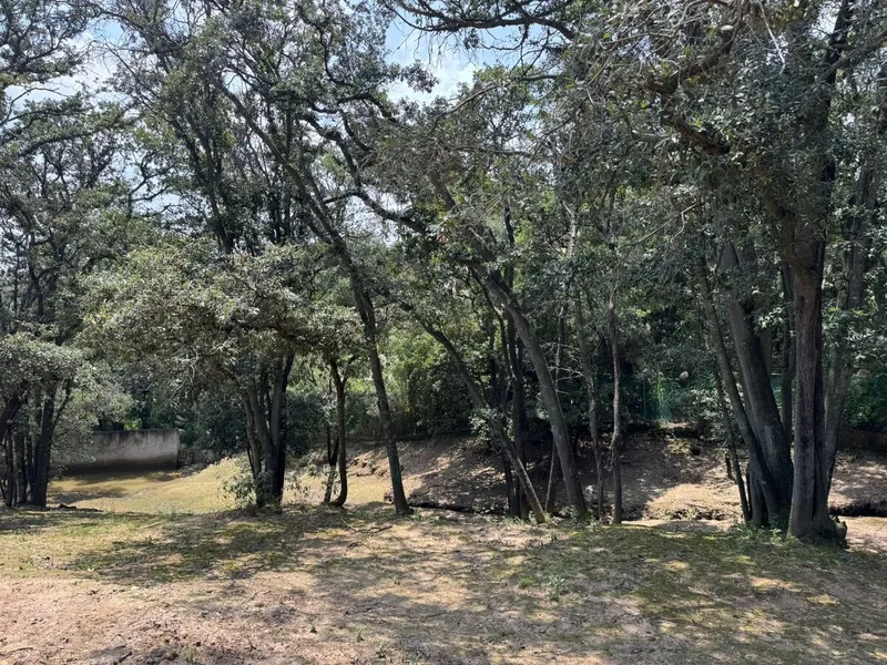 Foto 15