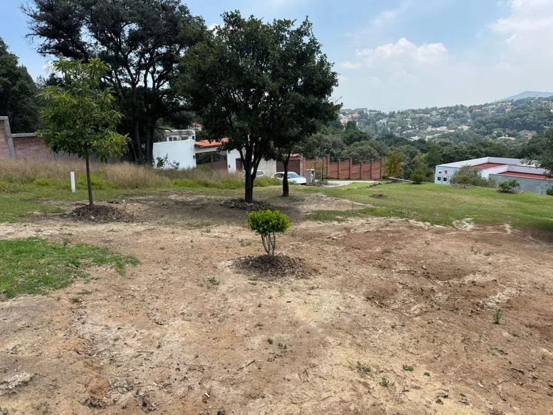 Foto 7
