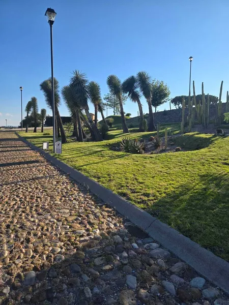 Foto 15