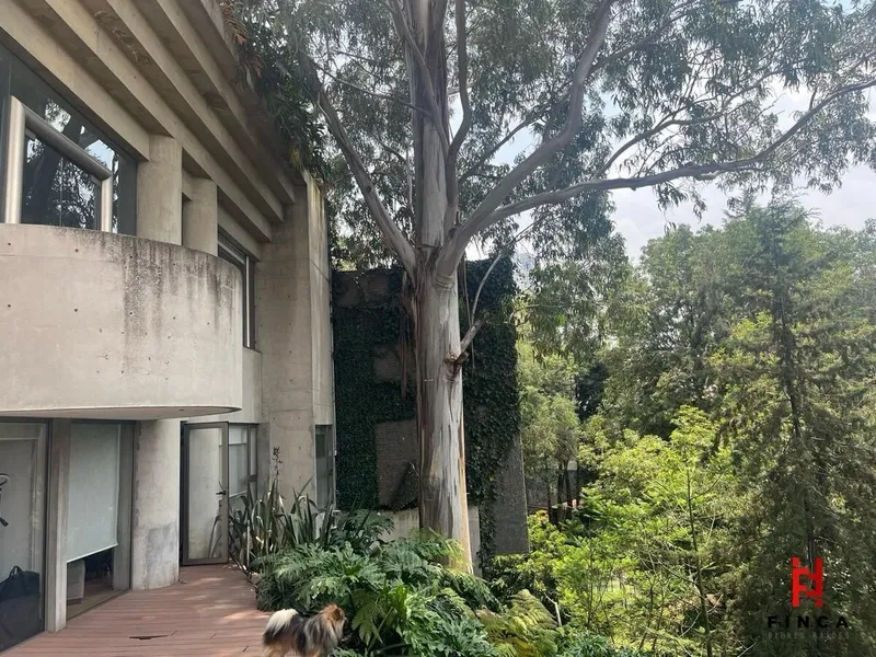 Casa en venta · Lomas de Bezares, Miguel Hidalgo, Ciudad de México Casa en venta · Lomas de Bezares, Miguel Hidalgo, Ciudad de México