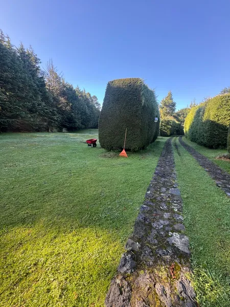 Lote en venta · Santo Tomas Ajusco, Tlalpan, Ciudad de México