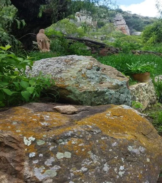 Foto 5