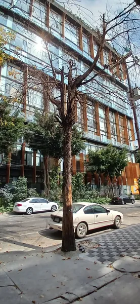 Foto 15
