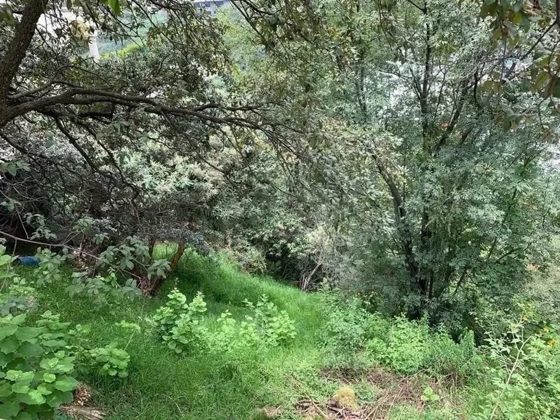 Lote en venta · Bosques de las Lomas, Cuajimalpa de Morelos, Ciudad de México
