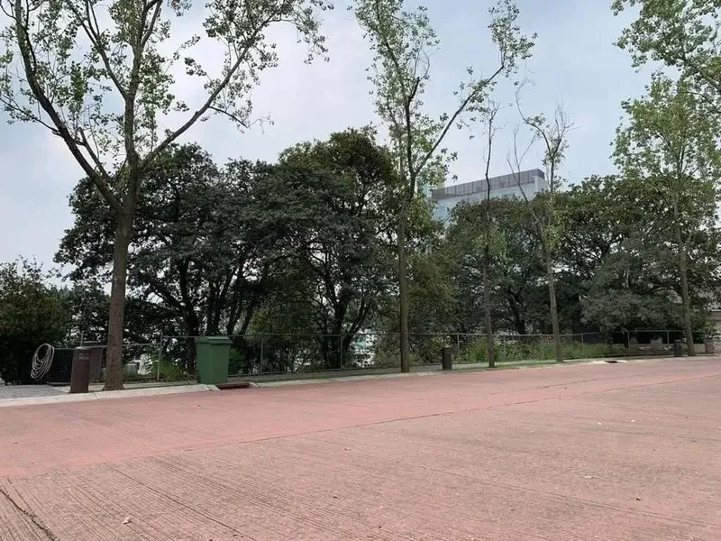 Lote en venta · Bosques de las Lomas, Cuajimalpa de Morelos, Ciudad de México