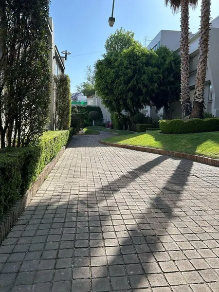 Foto 21
