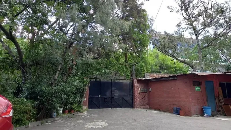 Foto 9