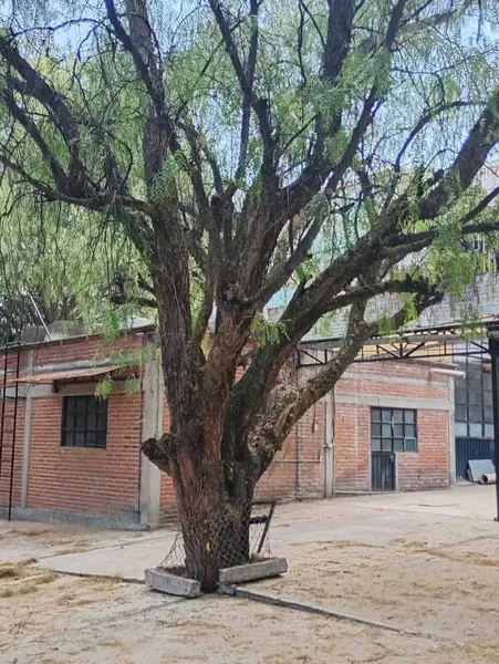 Foto 7